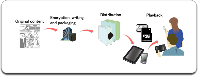 Pre-loaded SD Memory Card