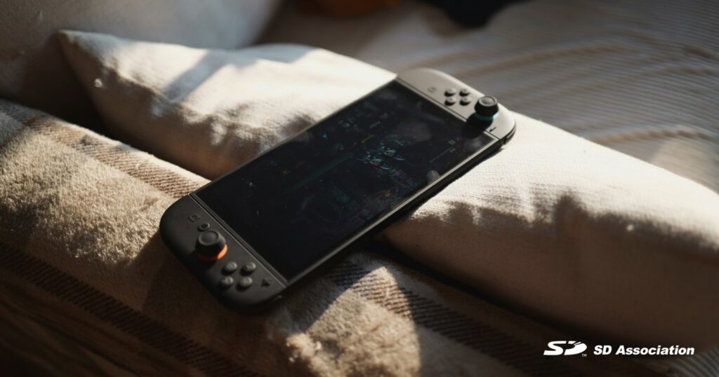 SD Memory Card - Nintendo Switch