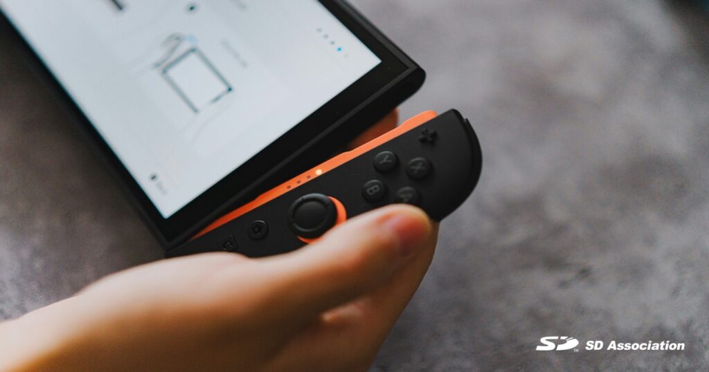 SD Memory Card - Portable System